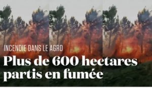 Un méga-feu ravage plus de 620 hectares du massif des Cévennes, dans le Gard