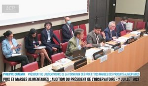 Audition à l'Assemblée nationale - Observatoire des prix alimentaires : audition P. Chalmin