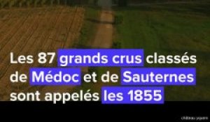 Bordeaux : Yquem, Margaux... C'est quoi au juste le classement des grands crus 1855 ?