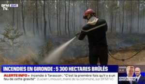 5300 hectares de forêt brûlés par les incendies en Gironde