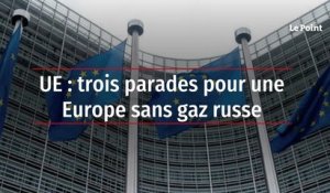 UE : trois parades pour une Europe sans gaz russe
