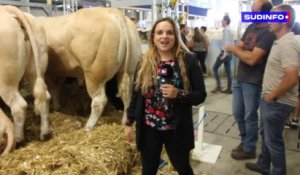 Découvrez la Foire agricole de Libramont 2022