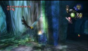 The Legend of Zelda : Twilight Princess online multiplayer - ngc
