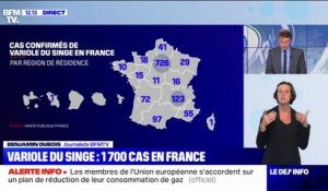 Variole du singe: 1700 cas confirmés en France