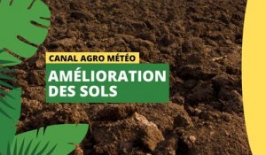 Canal Agro Météo : Amélioration des sols