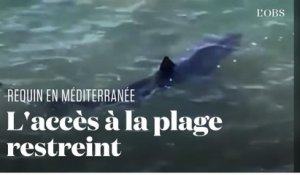 Un requin longe depuis 48 heures les plages de la ville d'Hyères, dans le Var