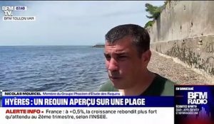 Hyères: le requin bleu aperçu sur une plage n'a toujours pas été évacué