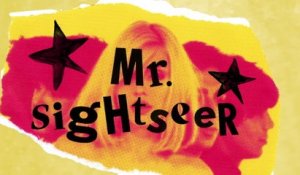 Blondie - Mr. Sightseer
