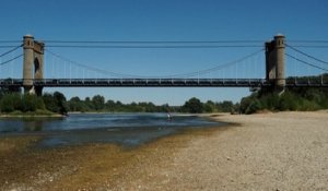 Sécheresse : la Loire est si basse qu'on peut la traverser à pied