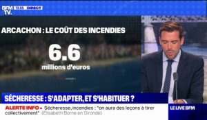 Incendies: quelles sont les conséquences économiques ?