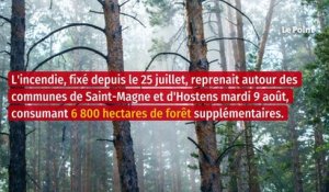Feux de forêt : pourquoi la Gironde est plus touchée par les incendies