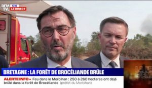 "Plus de 320 sapeurs-pompiers et 120 véhicules" engagés sur l'incendie de la forêt de Brocéliande