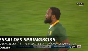 Essai des Springboks - Springboks / All Blacks - Rugby Championship 2022
