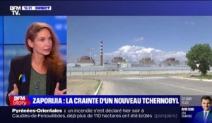 Aline Le Bail-Kremer: "Au regard du traumatisme qu'a été Tchernobyl, il n'y a aucun mobile pour que l'Ukraine tire" à Zaporijia