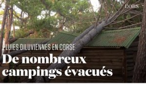 En Corse, les terribles dégâts des rafales de vent dans un camping de Calvi