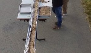 En une semaine, ces Bretons battent deux fois le record de la plus longue galette saucisse du monde