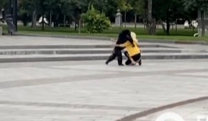 Un chimpanzé s'échappe du zoo de Kharkiv, il revient grâce à un imperméable jaune