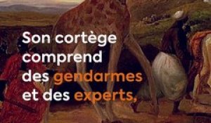 L'incroyable histoire de Zarafa, la première girafe arrivée en France