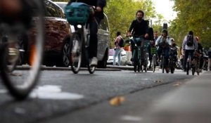 19000 vélos par jour boulevard de Sébastopol à Paris : un record... et «un enfer»