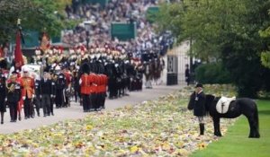 L'image du poney préféré d'Elizabeth II, qui regarde le passage du cortège funéraire de la Reine, est bouleversante