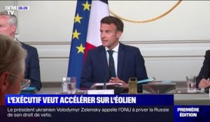 Visite d'Emmanuel Macron à Saint-Nazaire: l'exécutif veut accélérer sur l'éolien