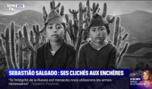 Certains clichés du photographe franco-brésilien Sebastião Salgado vont être vendus aux enchères