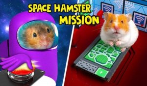 L'aventure des hamsters sur la station spatiale