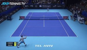 Tel-Aviv - Djokovic écarte Pospisil