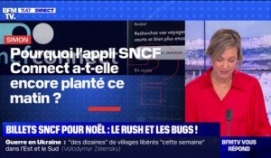 Pourquoi l'appli SNCF Connect a-t-elle encore planté ce matin? BFMTV répond à vos questions