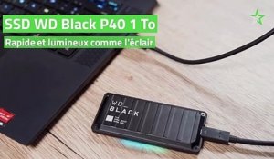 Test SSD WD Black P40 1 To : rapide et lumineux comme l'éclair