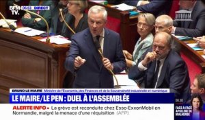 ÉDITO - "Le RN chercher à exister" après l'altercation entre Bruno Le Maire et le député Alexandre Loubet à l'Assemblée