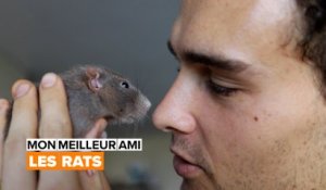 Mon meilleur ami : le rat