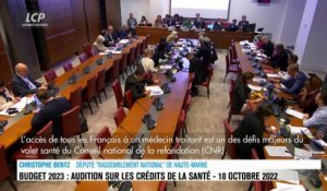 Audition à l'Assemblée nationale - Budget 2023/Santé : audition d'Agnès Firmin Le Bodo