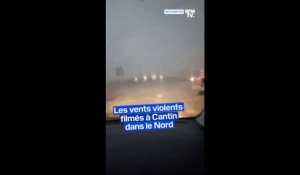 "Le panneau, il s'est envolé!": les vents violents filmés à Cantin dans le Nord