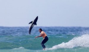 Un requin blanc bondit derrière des surfeurs : l'image est terrifiante