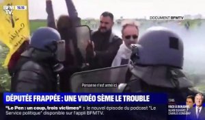 Affrontements à Sainte-Soline: La députée EELV qui affirme avoir été malmenée par les forces de l'ordre a-t-elle volontairement provoqué un incident? Regardez les images qui accusent