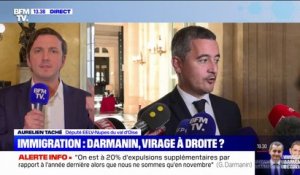 Projet de loi sur l'immigration: Aurélien Taché accuse Gérald Darmanin de vouloir "séduire le RN"