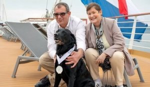 Une chienne a passé 700 jours de sa vie à bord d'un navire de croisière et s'est vue récompensée par la compagnie pour la loyauté