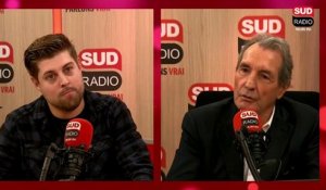 En 2022, les nids de guêpes et frelons nous envahissent ! - Parlons Vrai chez Bourdin