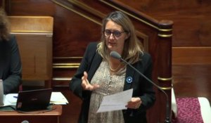 Energies renouvelables : "Le maire est à l’origine du zonage, et il est à la fin du dispositif"