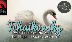 Tchaikovsky: Swan Lake, Op. 20, Act I: X. The Flight of Swans (excerpt)