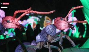 Des insectes géants illuminent le Jardin des Plantes