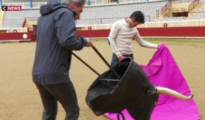 Corrida : le débat fait rage entre les défenseurs et les opposants