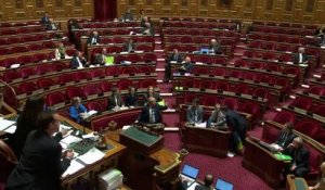 Budget : le Sénat rejette la suppression la CVAE
