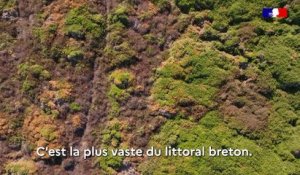 [Présentation] Grand Prix national du paysage 2022 : Cap Fréhel (Côte d'Armor - 22)