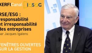 RSE/ESG : responsabilité et irresponsabilité des entreprises [Jacques Igalens]