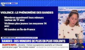 Violences en Île-de-France: le phénomène des rixes entre bandes rivales