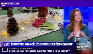 L'ÉCOGESTE - Un Noël écologique, économique et magique!