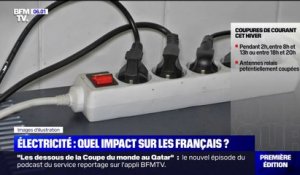 Coupures d'électricité: quel impact sur les Français cet hiver?