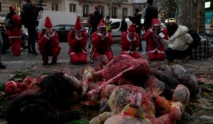 «Joyeuse extinction !» : de faux Pères Noël bloquent la ciruclation devant le ministère de l’Écologie